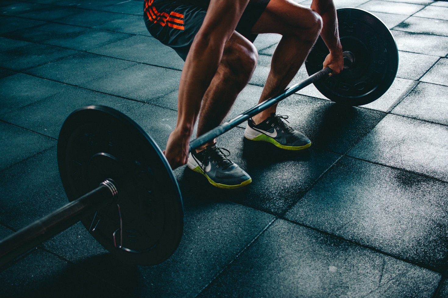 Top Fitness Apparel Brands to Watch in 2024
